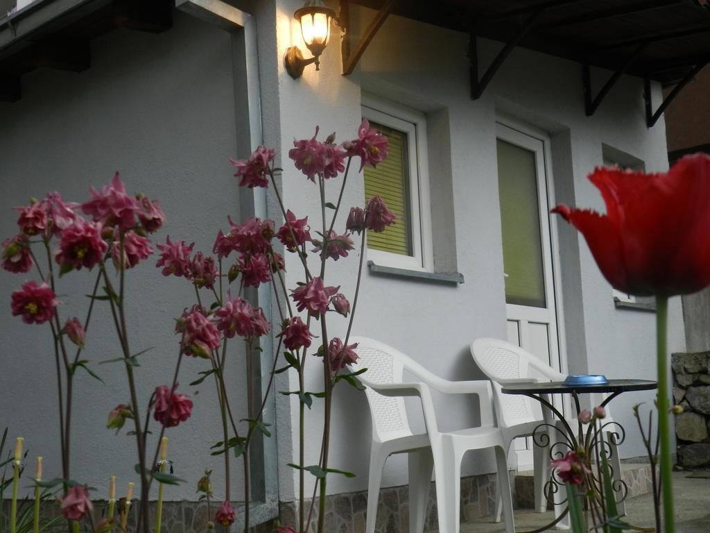 Apartment-Studio Downtown Dudanovi أوهغيد المظهر الخارجي الصورة
