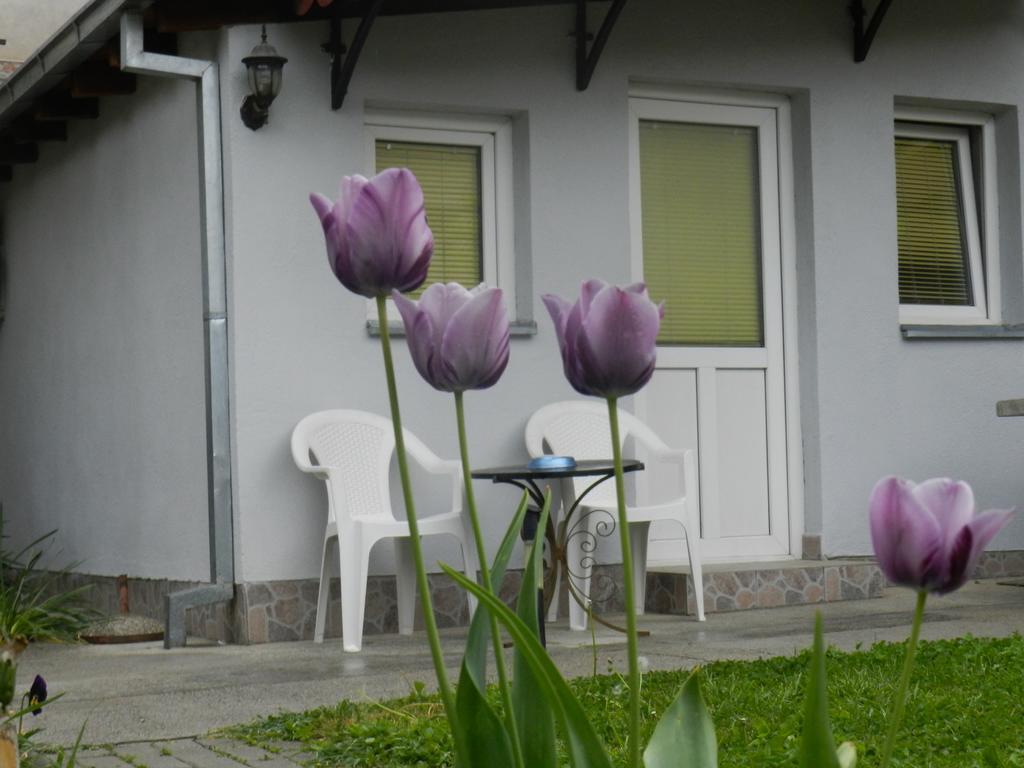 Apartment-Studio Downtown Dudanovi أوهغيد المظهر الخارجي الصورة